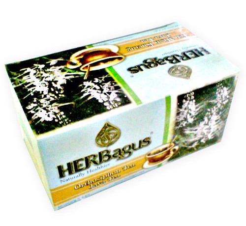 Misai Kucing Tea (Java Tea)